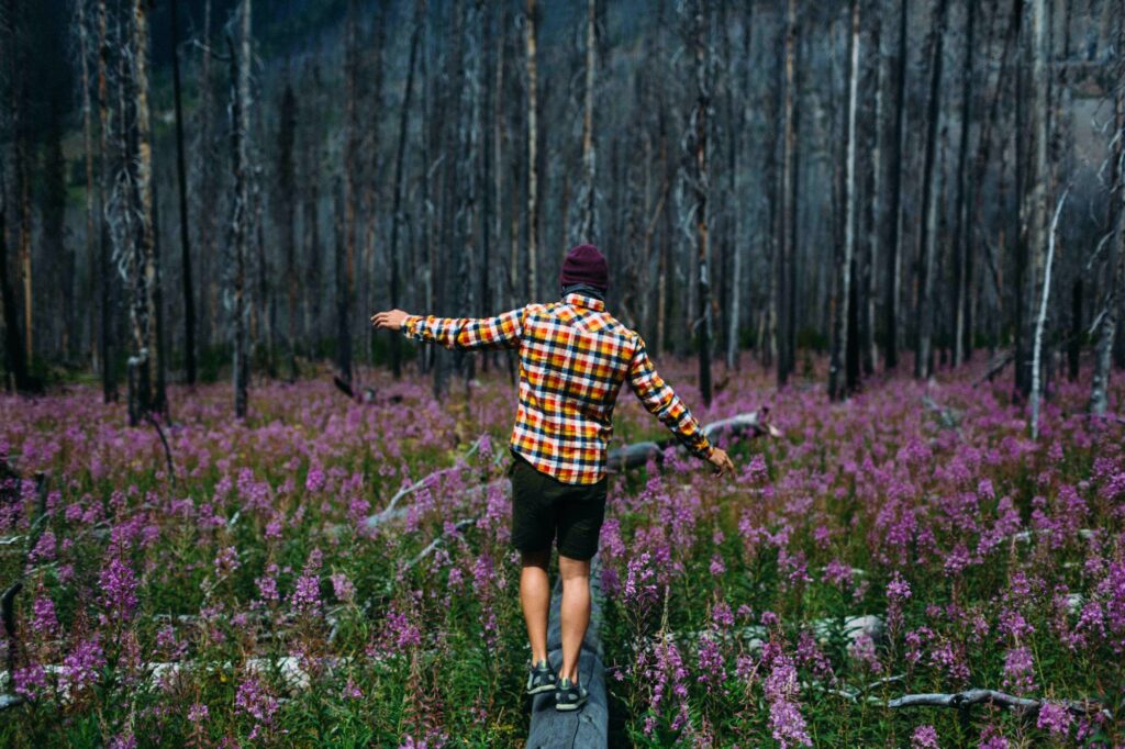 Rear view of mid adult man balancing on fallen tree in field of wildflowers, Moraine lake, Banff